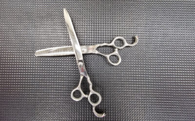 Blogi 1 Mistä koiran trimmauksen hinta koostuu? – todelliset kustannukset ja työn laajuus